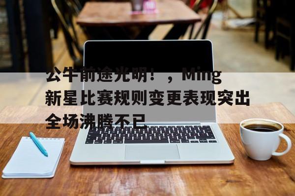 公牛前途光明！，Ming新星比赛规则变更表现突出全场沸腾不已